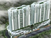 Tổ hợp CiRi Đại Kim Tổ hợp CiRi Đại Kim